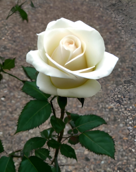 Bootstrap Image Preview